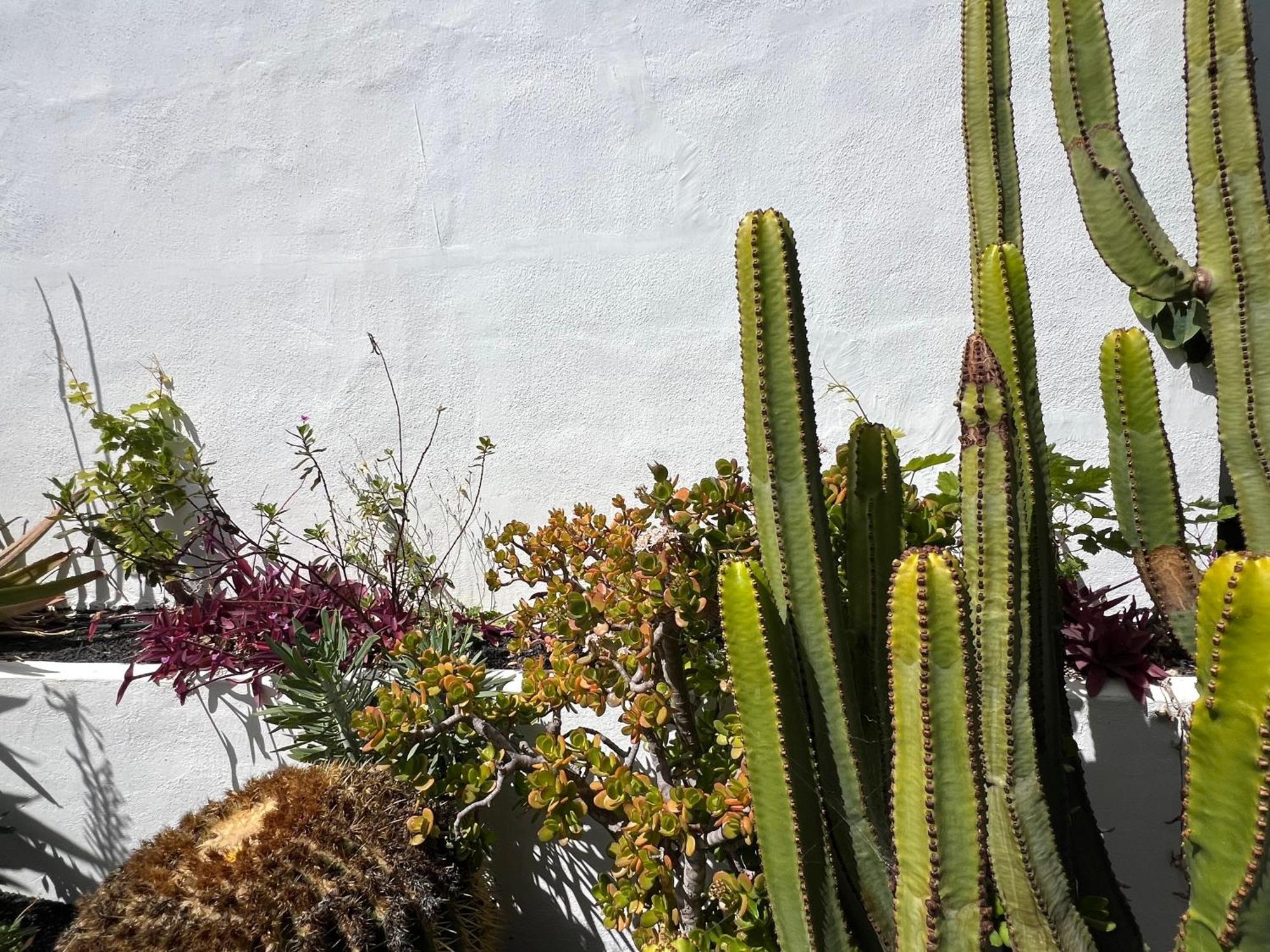 Oasis En Lanzarote Villa กอสตา เตกีสเซ ภายนอก รูปภาพ